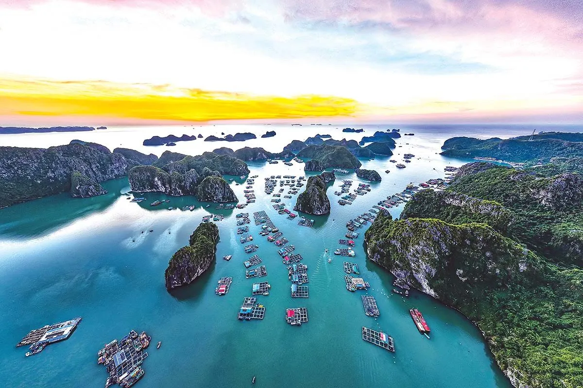 Xây dựng di sản: Cách những trải nghiệm gia đình tại Cát Bà thắt chặt sợi dây liên kết giữa các thế hệ